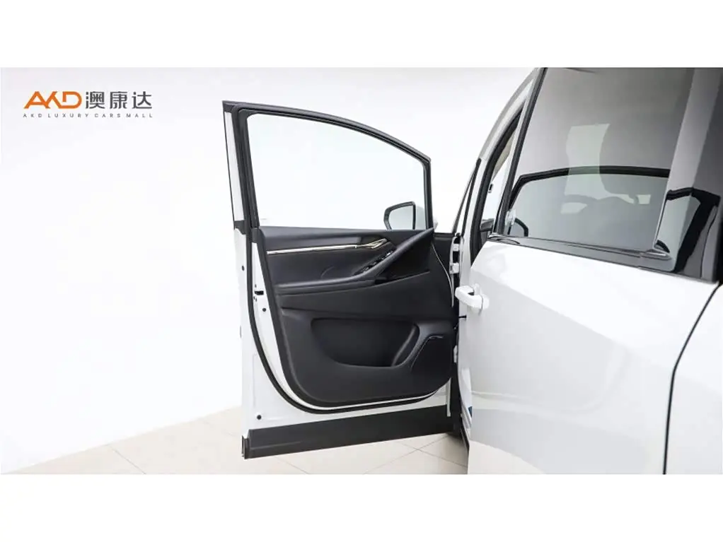 GAC Trumpchi Trumpchi E9 2024 — Фото 11/11