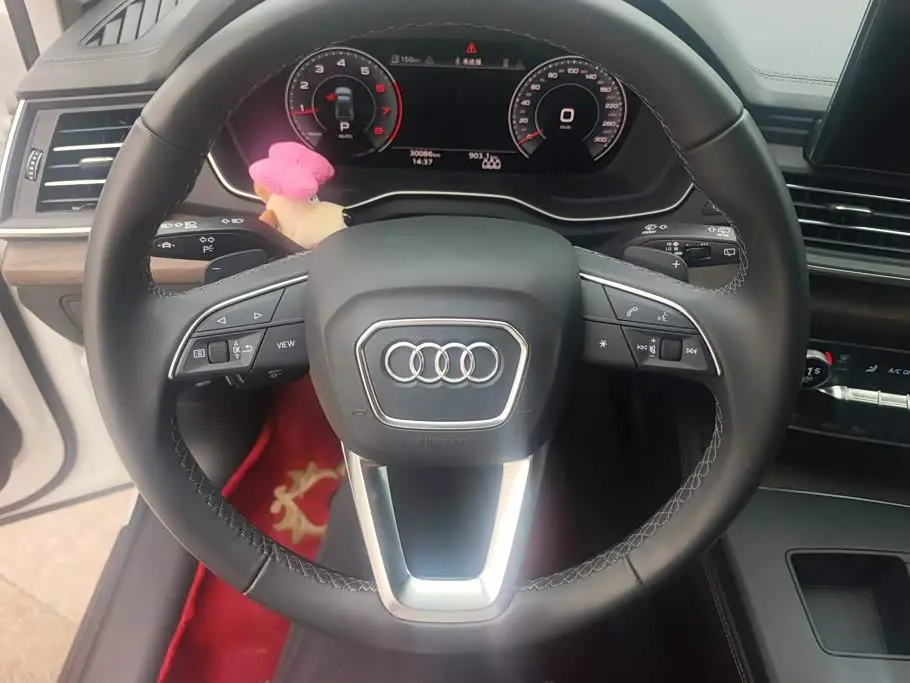 Audi Q5L 2024 — Photo 15/16