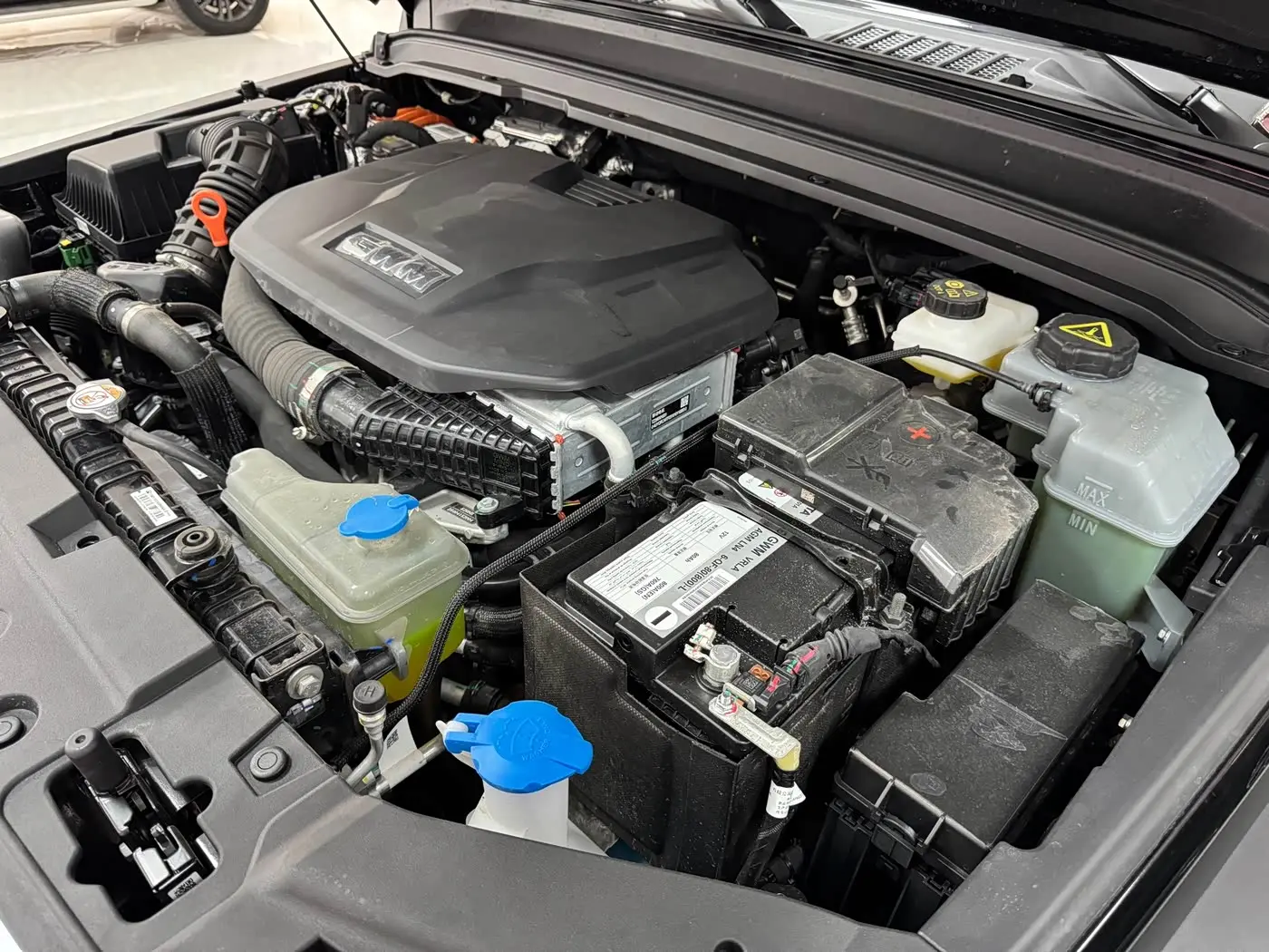 Tank 300 New Energy 2025 — Photo 11/20