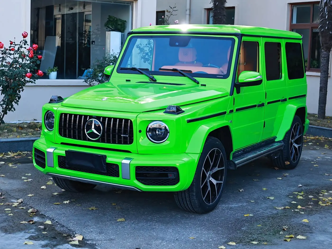 Mercedes-Benz G-Class 2013 — Фото 1/10