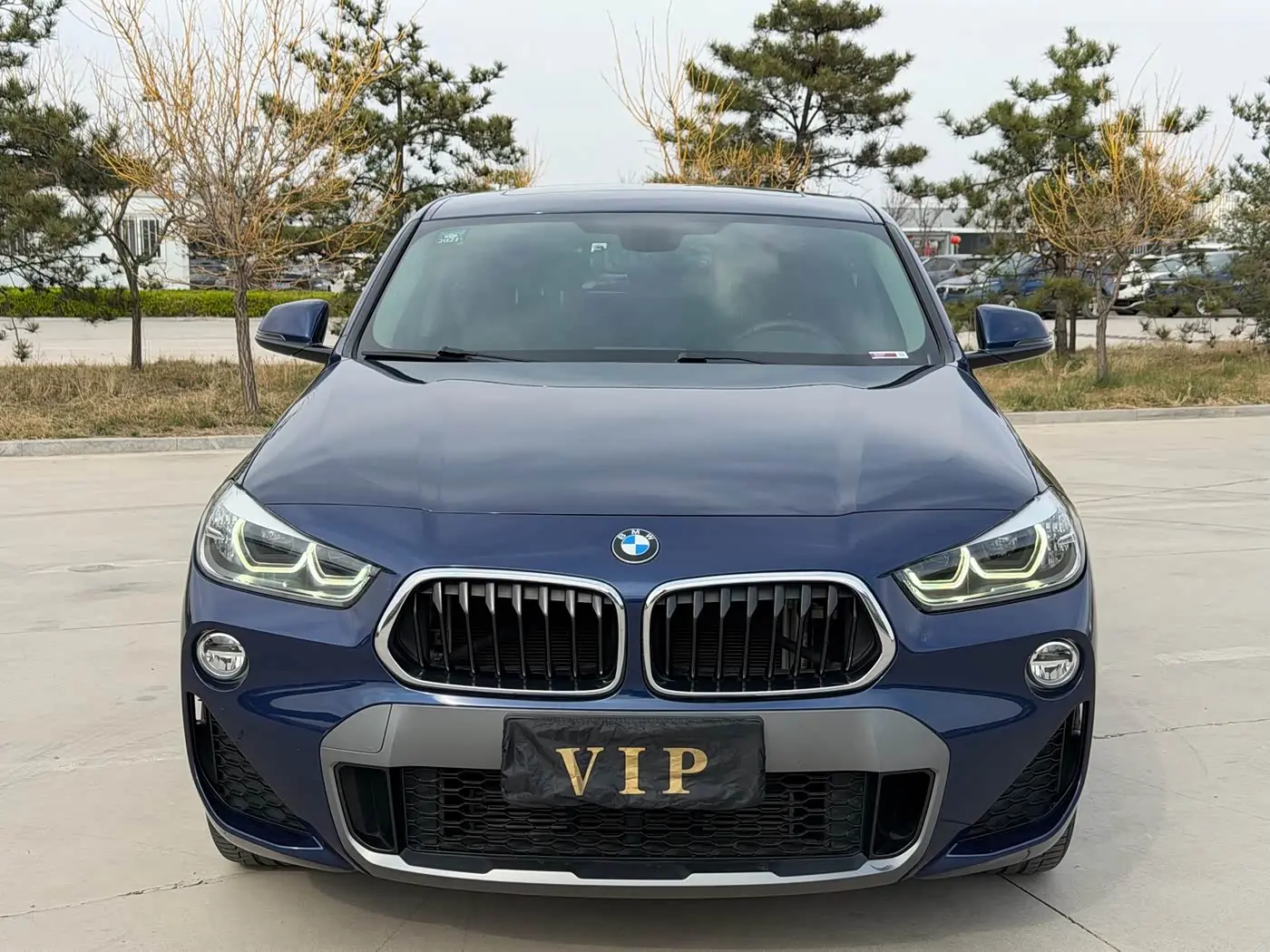 BMW X2 2019 — Фото 2/20