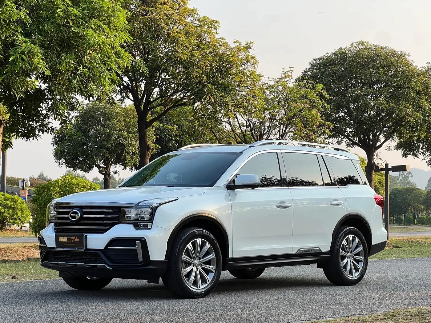 GAC Trumpchi Trumpchi GS8, 2022