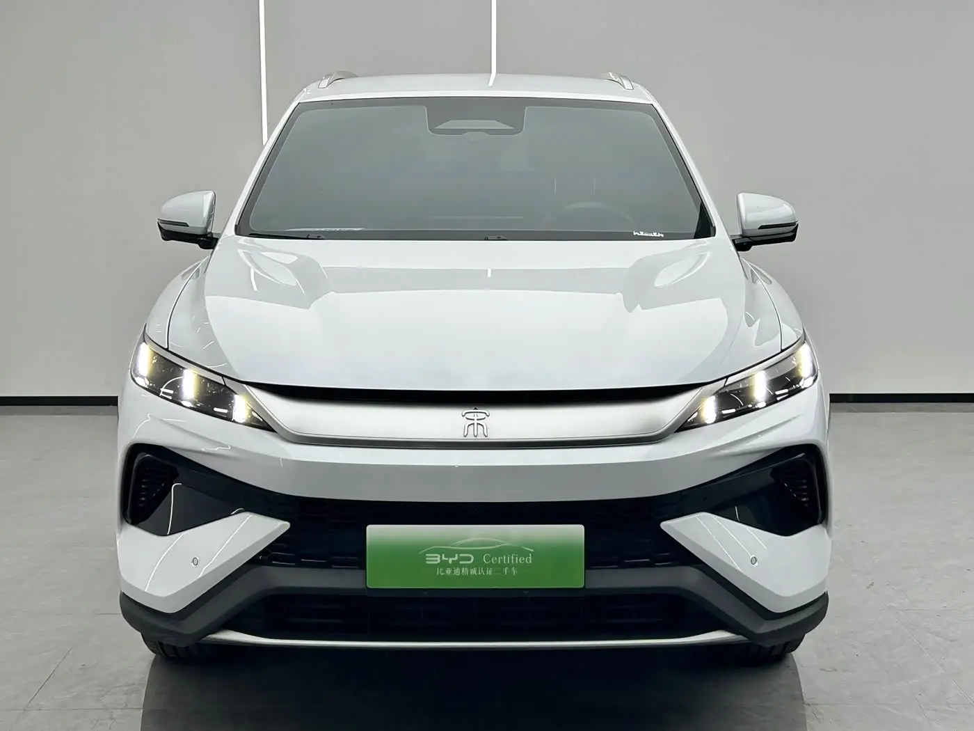 BYD Song Pro New Energy 2025 — Фото 2/10