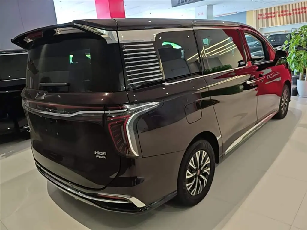 Hongqi HQ9 PHEV 2024 — Şəkil 7/20