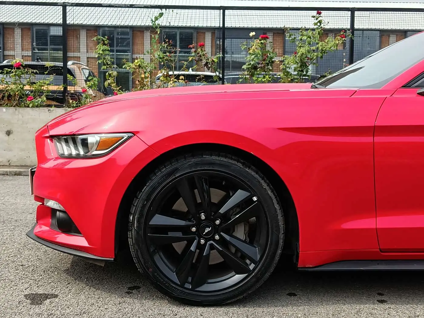 Ford Mustang 2017 — Photo 5/20