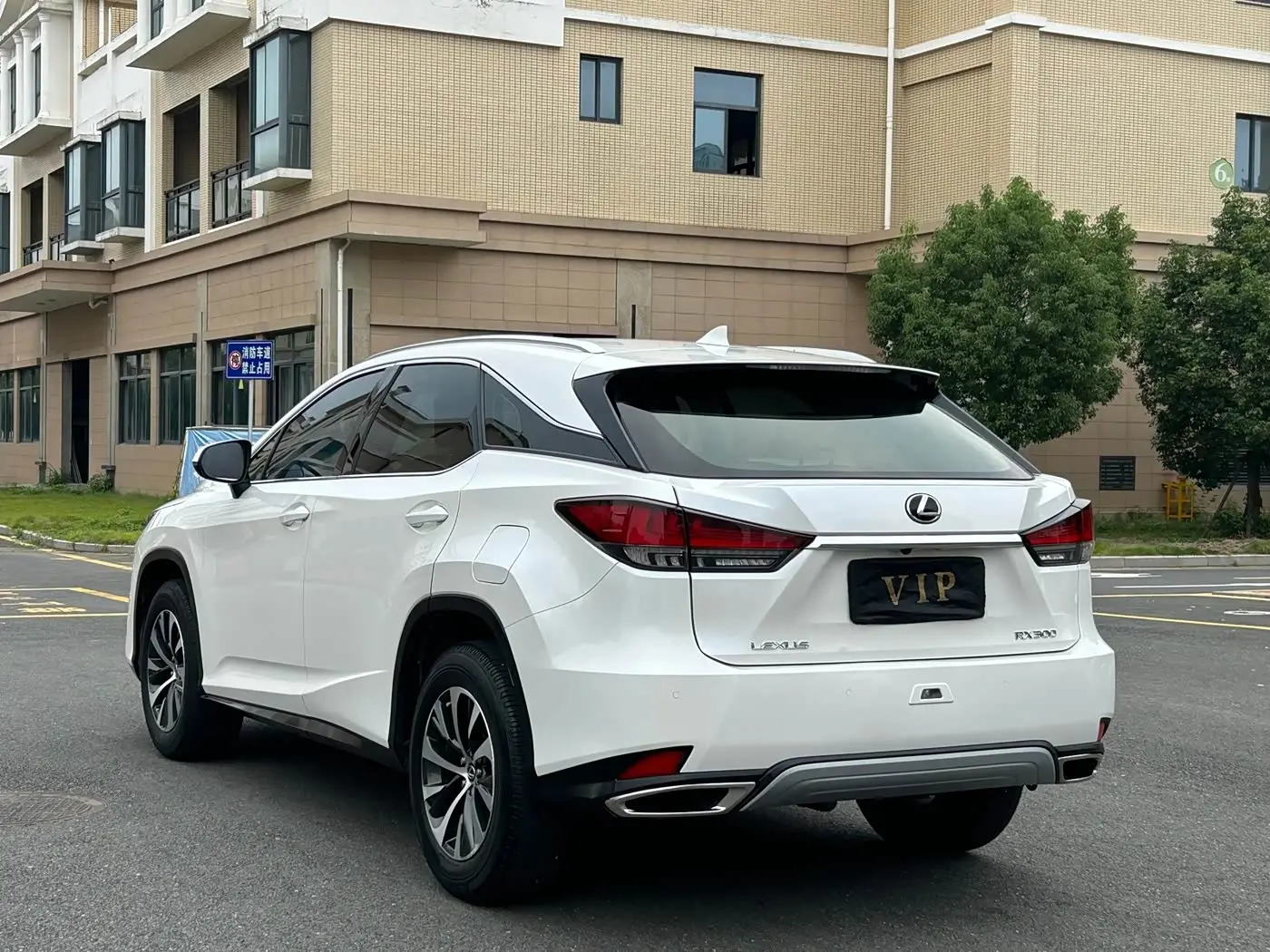 Lexus RX 2021 — Şəkil 4/9