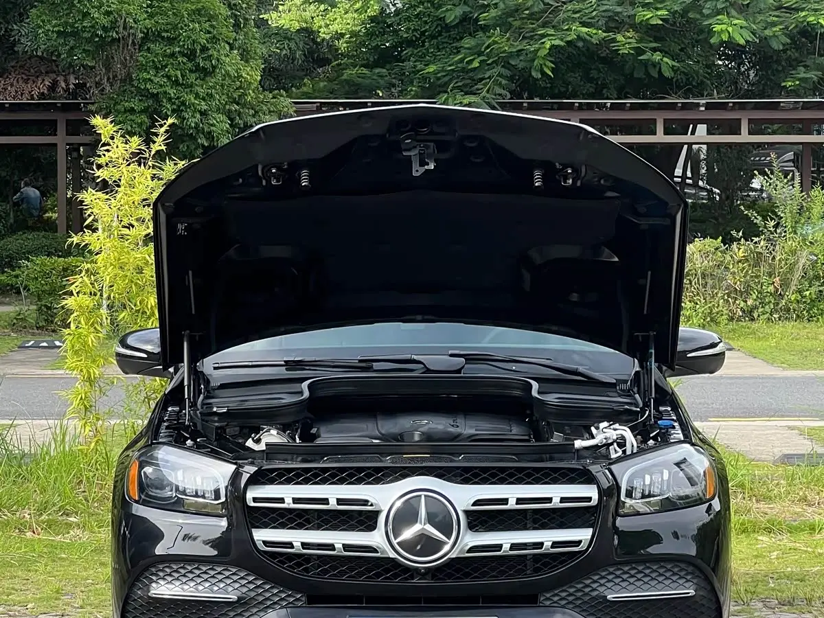 Mercedes-Benz GLS 2020 — Photo 8/20