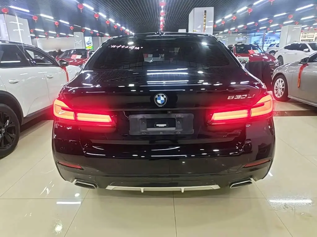 BMW 5 Series 2022 — Photo 6/20
