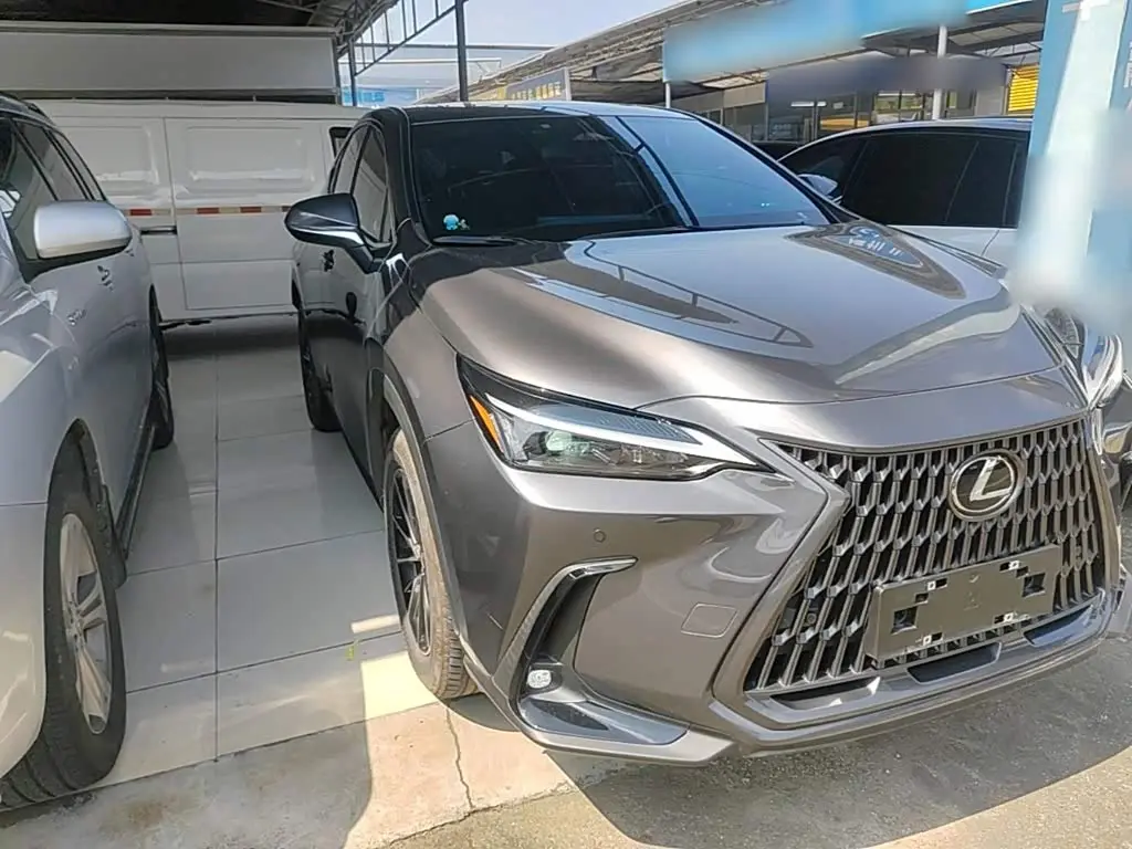 Lexus NX 2024 — ფოტო 4/20
