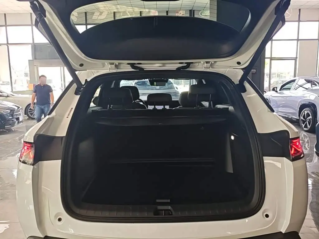 BYD Song L DM-i 2025 — Şəkil 19/20