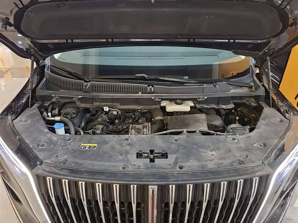Hongqi HQ9 PHEV 2024 — Photo 20/20