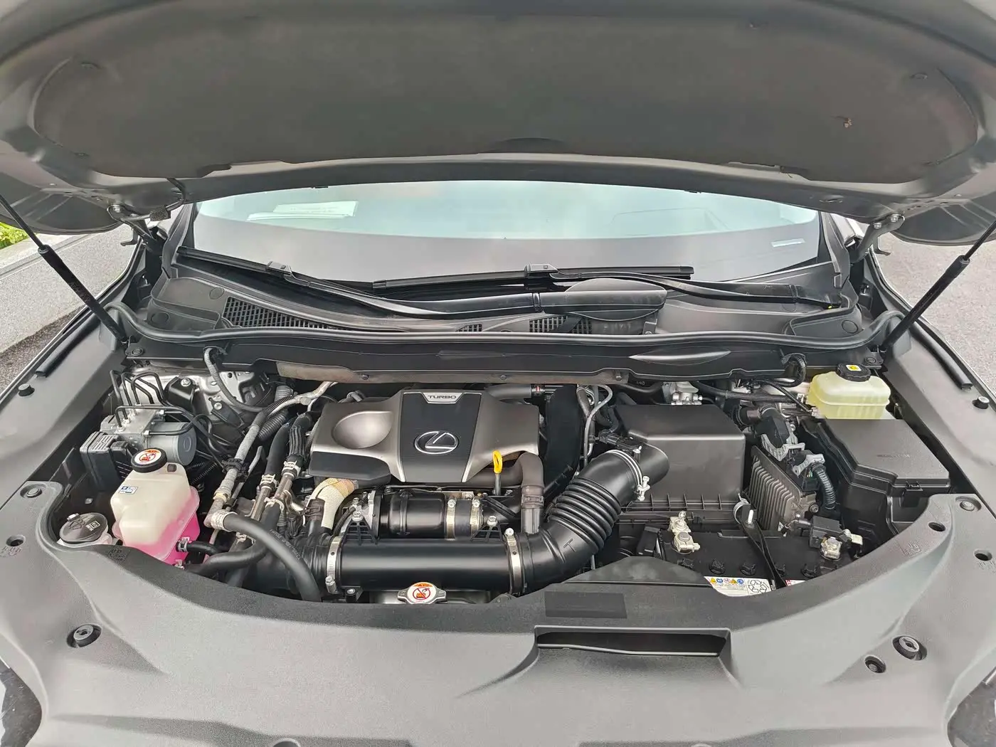 Lexus RX 2021 — Şəkil 5/20