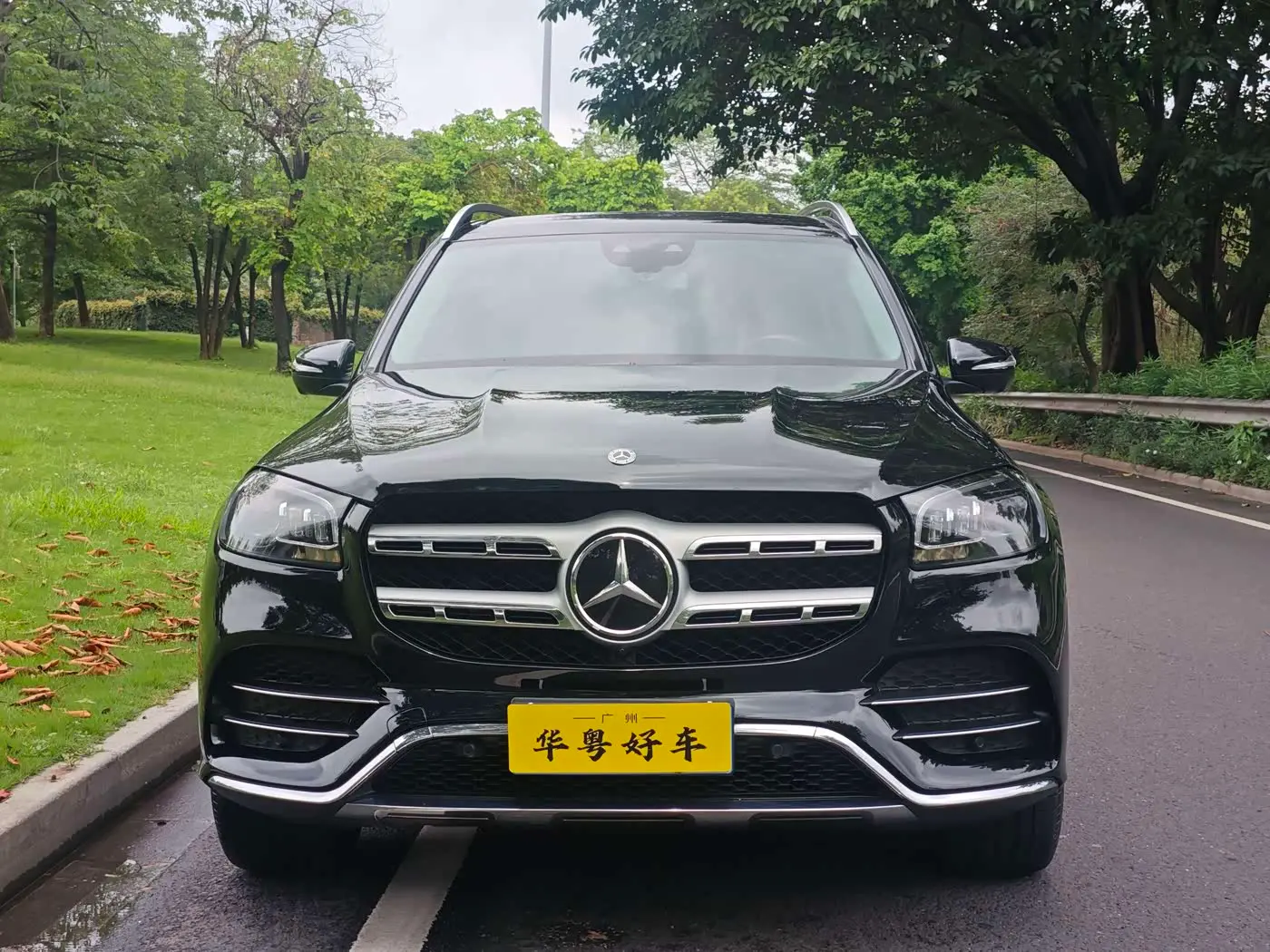 Mercedes-Benz GLS 2020 — Photo 2/20