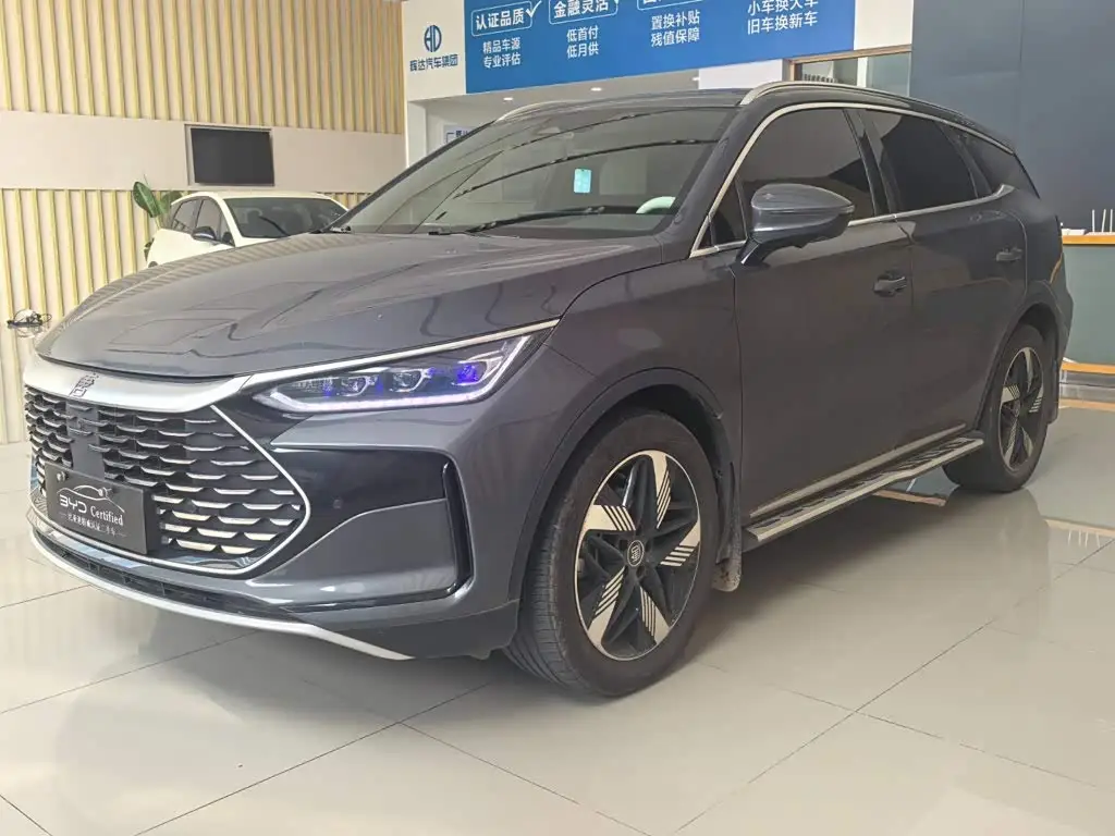 BYD Tang New Energy, 2024