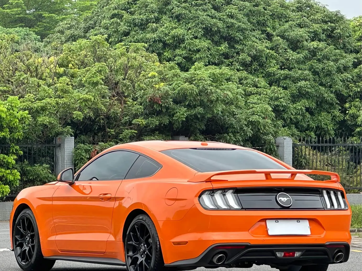 Ford Mustang 2021 — Фото 6/18