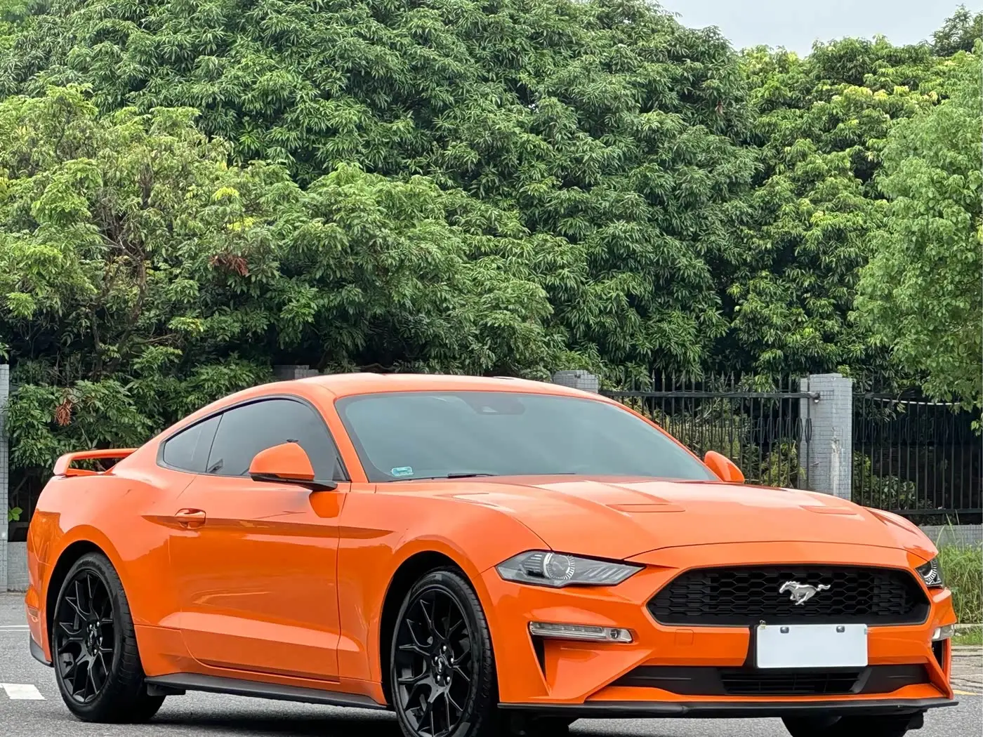 Ford Mustang 2021 — Фото 3/18