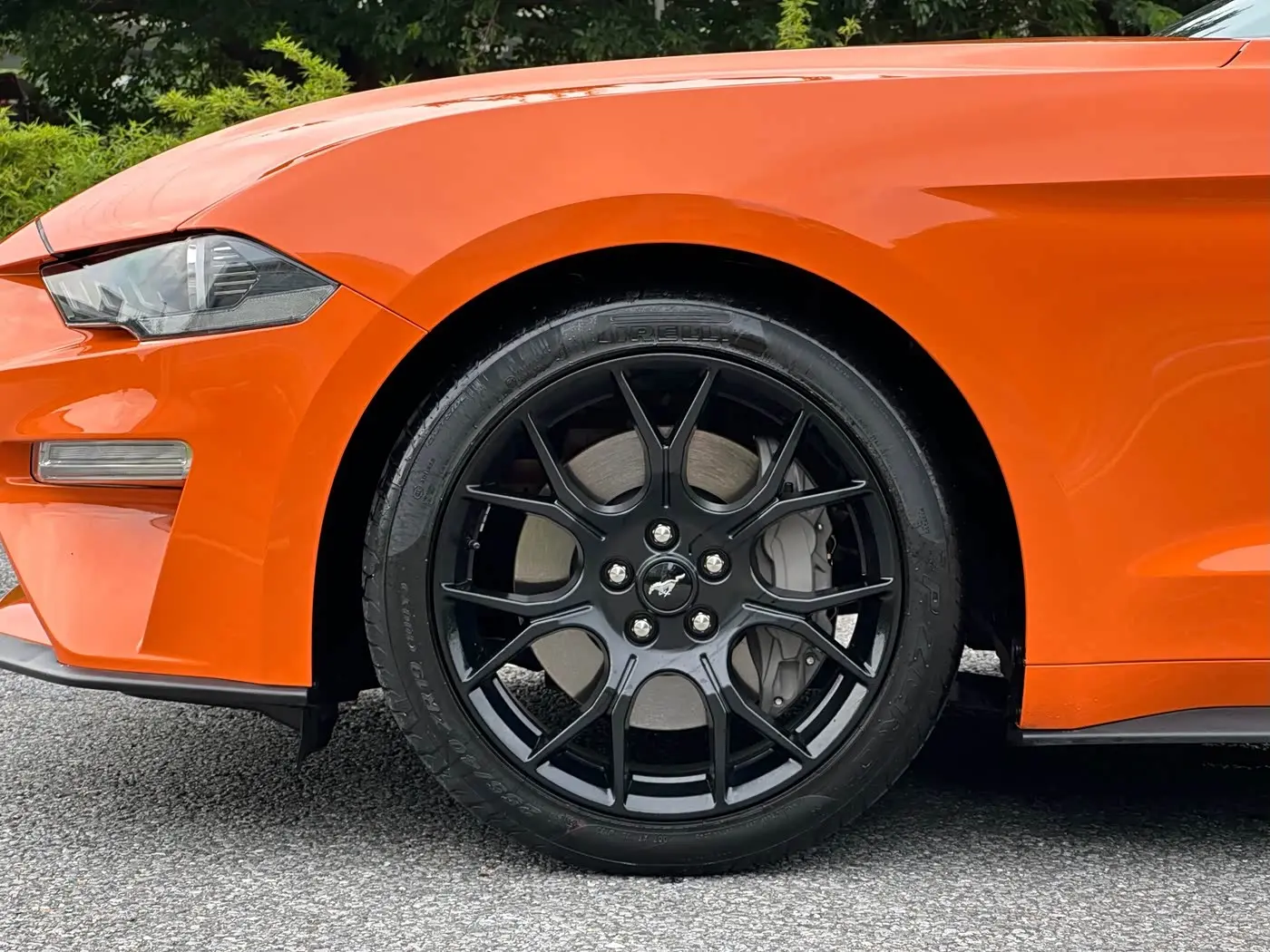 Ford Mustang 2021 — Фото 15/18