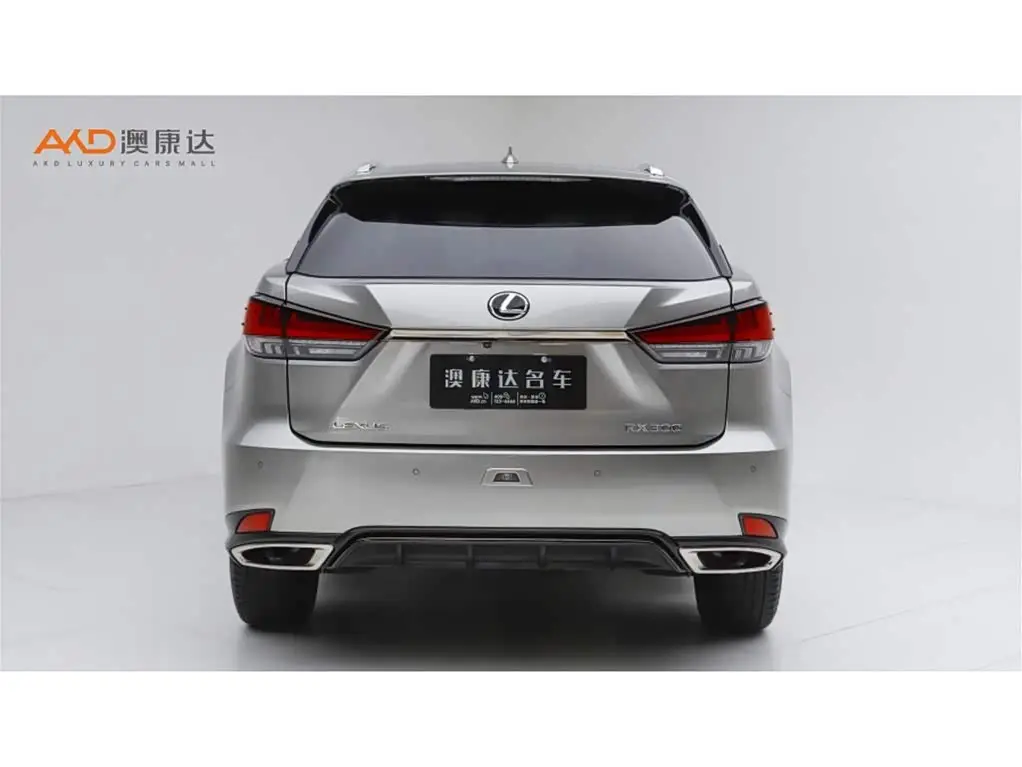 Lexus RX 2020 — Şəkil 4/10