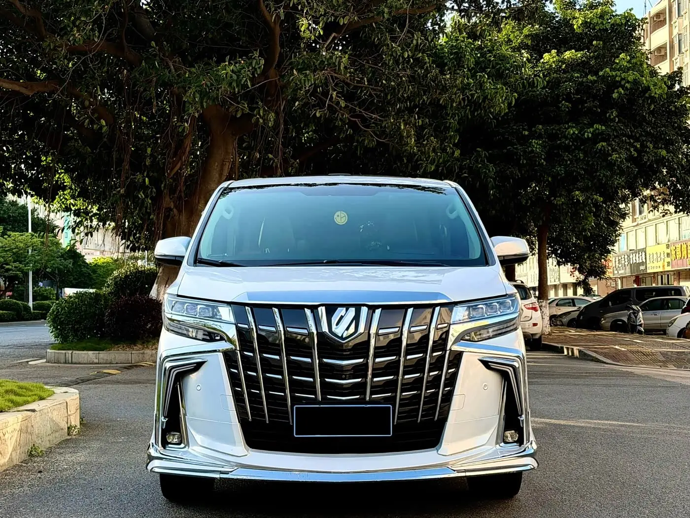 Toyota Alphard 2016 — Photo 2/9