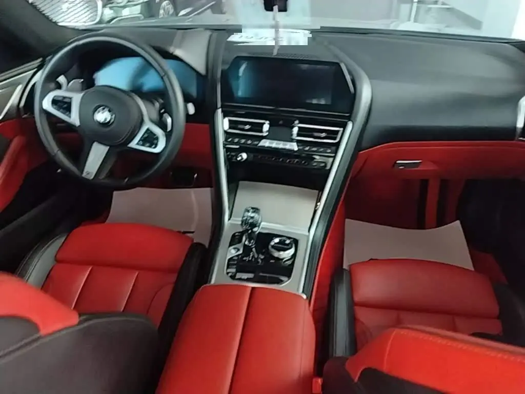 BMW 8 Series 2020 — Photo 10/20