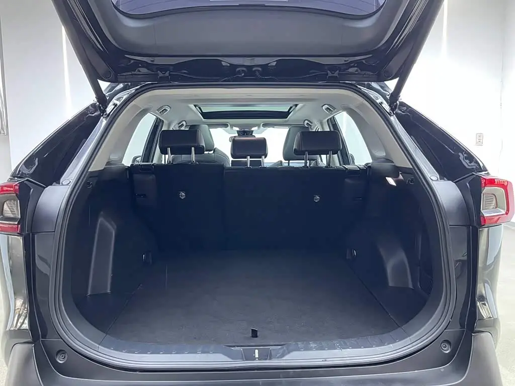 Toyota Wildlander 2024 — ფოტო 9/20
