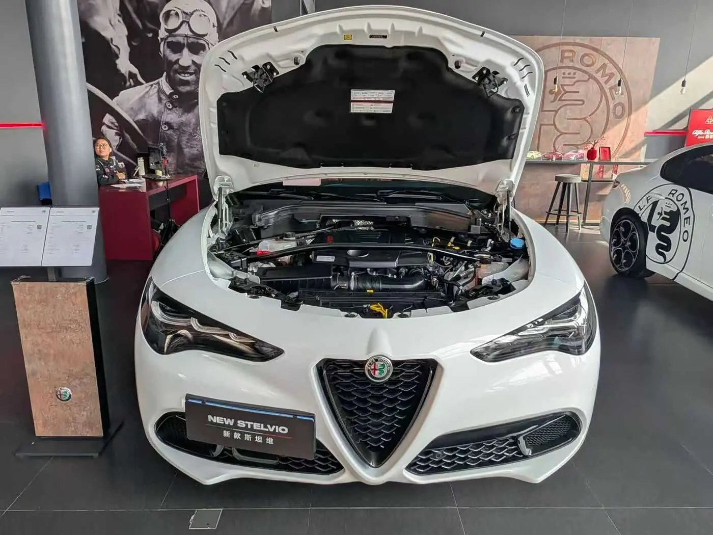 Alfa Romeo Stelvio 2024 — Photo 14/19