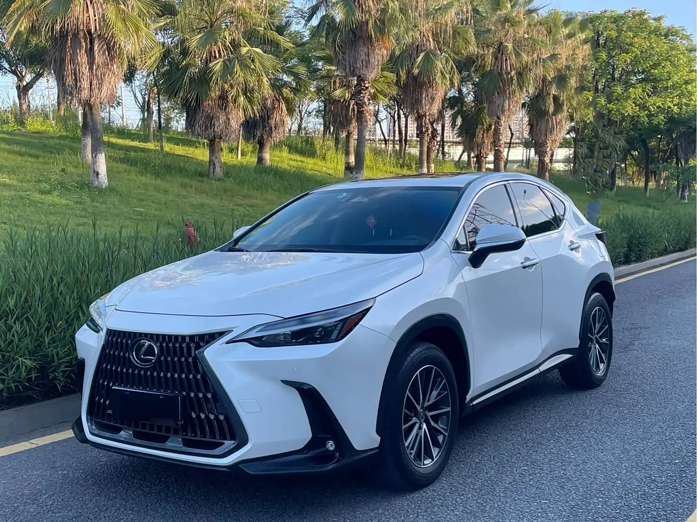 Lexus NX 2022 — Photo 1/9
