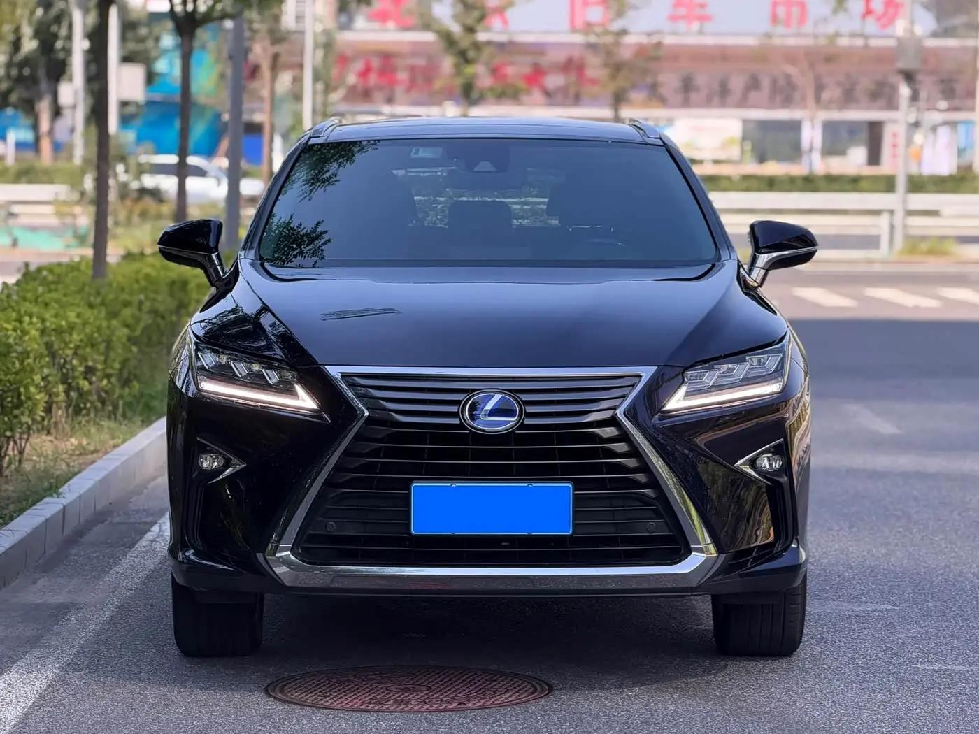 Lexus RX 2017 — Photo 2/20