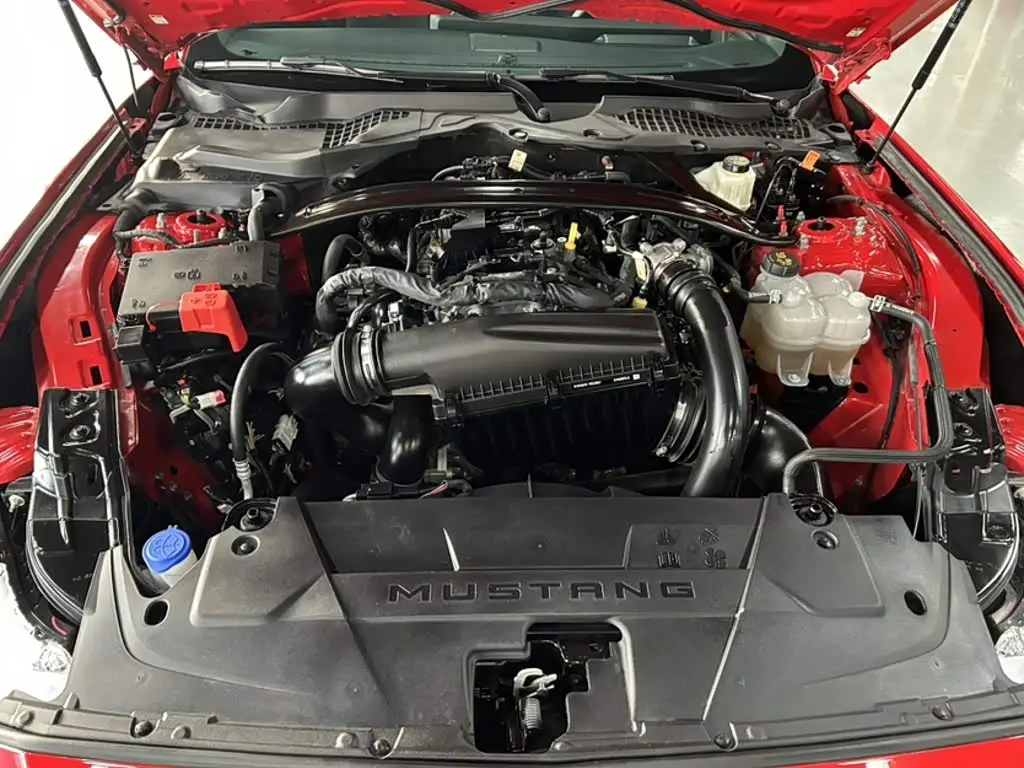 Ford Mustang 2024 — Şəkil 19/20
