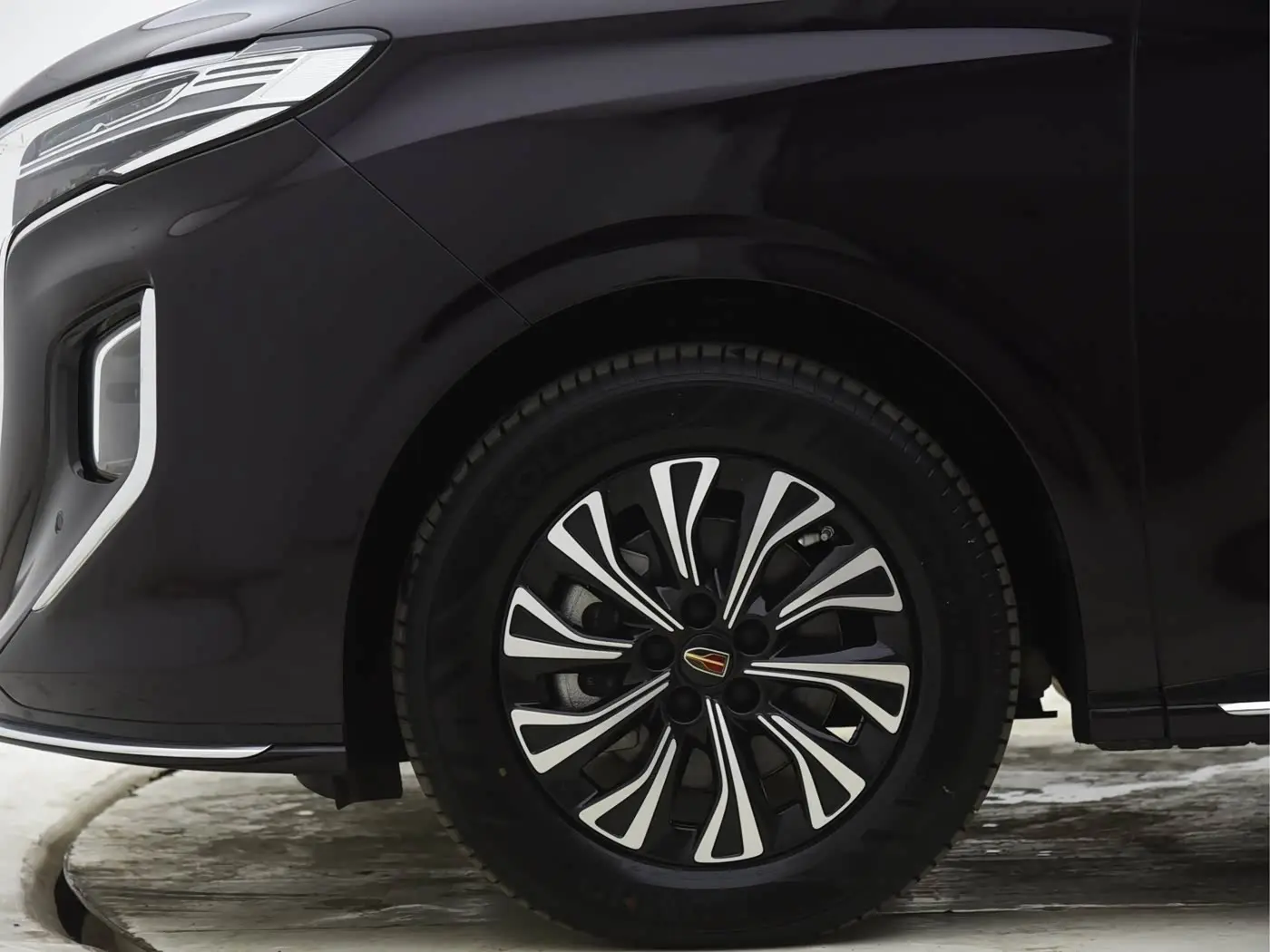 Hongqi HQ9 PHEV 2024 — Photo 17/17
