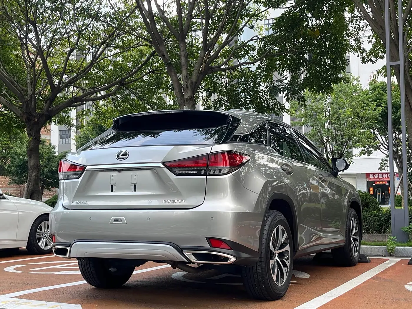 Lexus RX 2022 — Photo 9/9