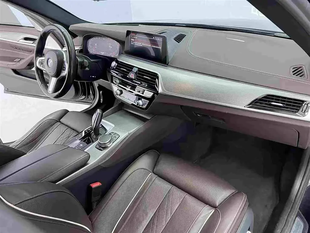 BMW 5 Series 2019 — Photo 10/17