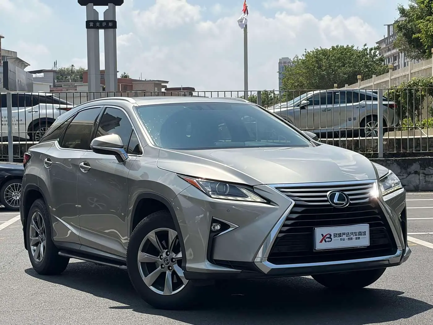 Lexus RX 2018 — Фото 3/20