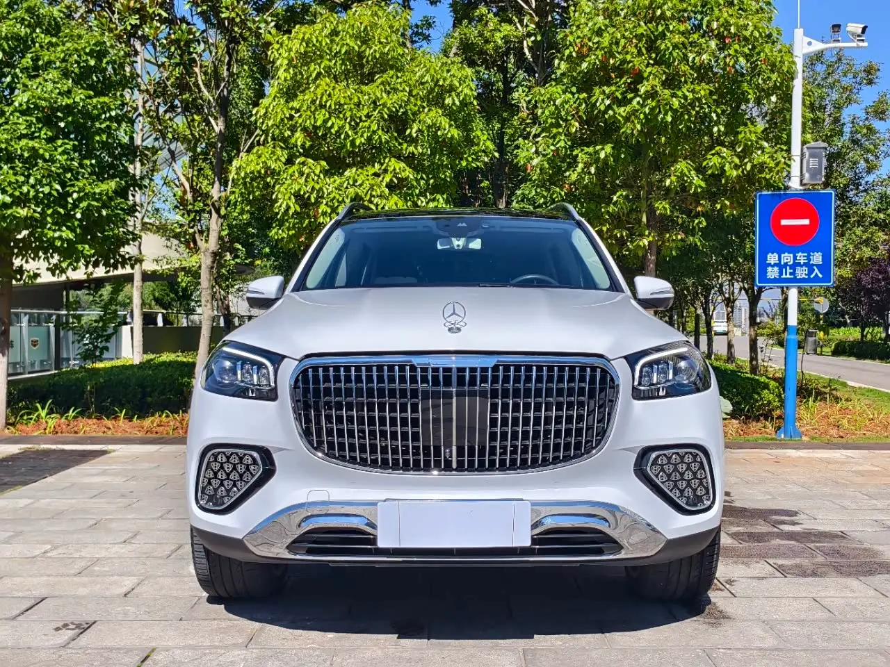 Mercedes-Benz GLS 2020 — Photo 2/15