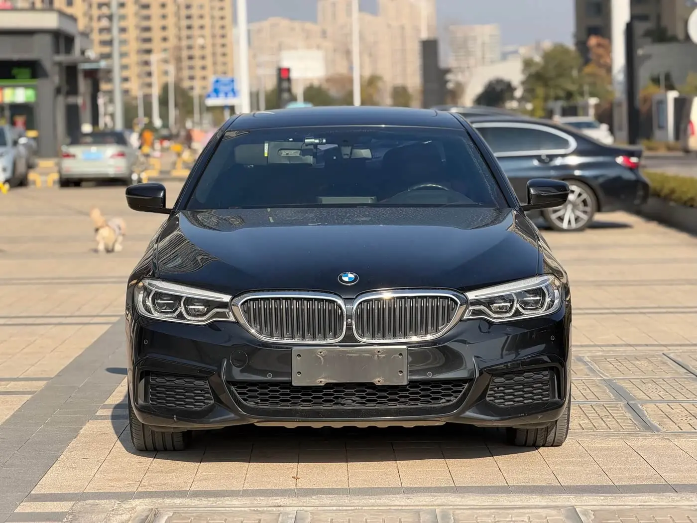 BMW 5 Series 2020 — Photo 2/19