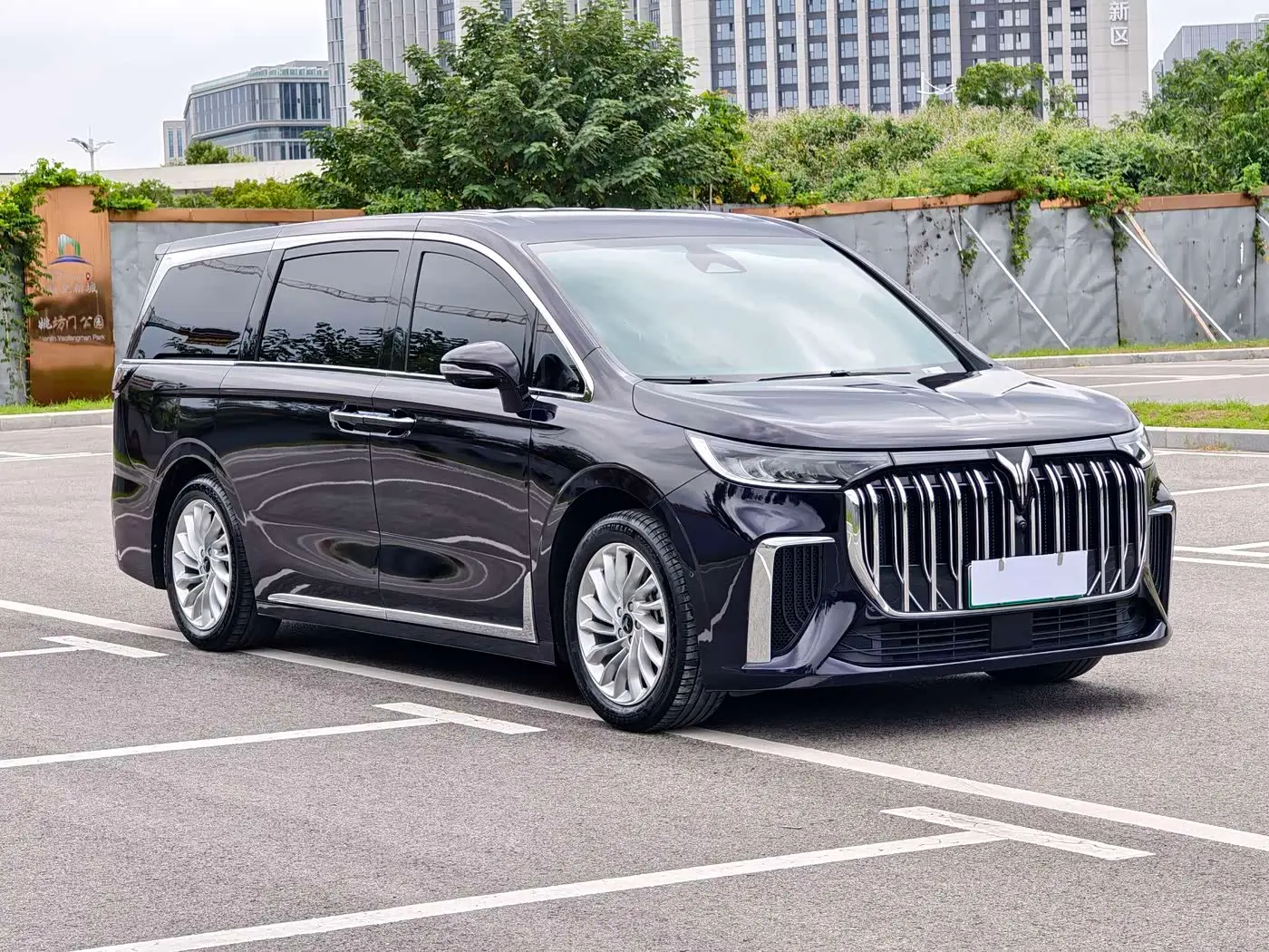Voyah Auto Voyah Dreamer 2023 — Photo 3/20