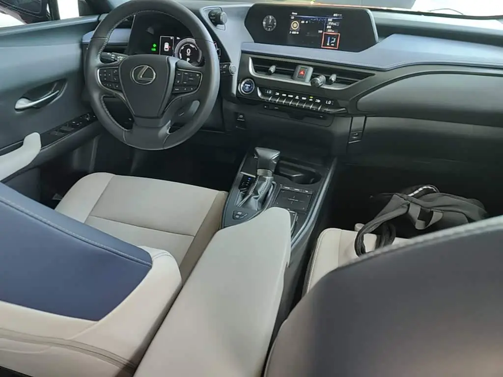 Lexus UX 2020 — Photo 10/20