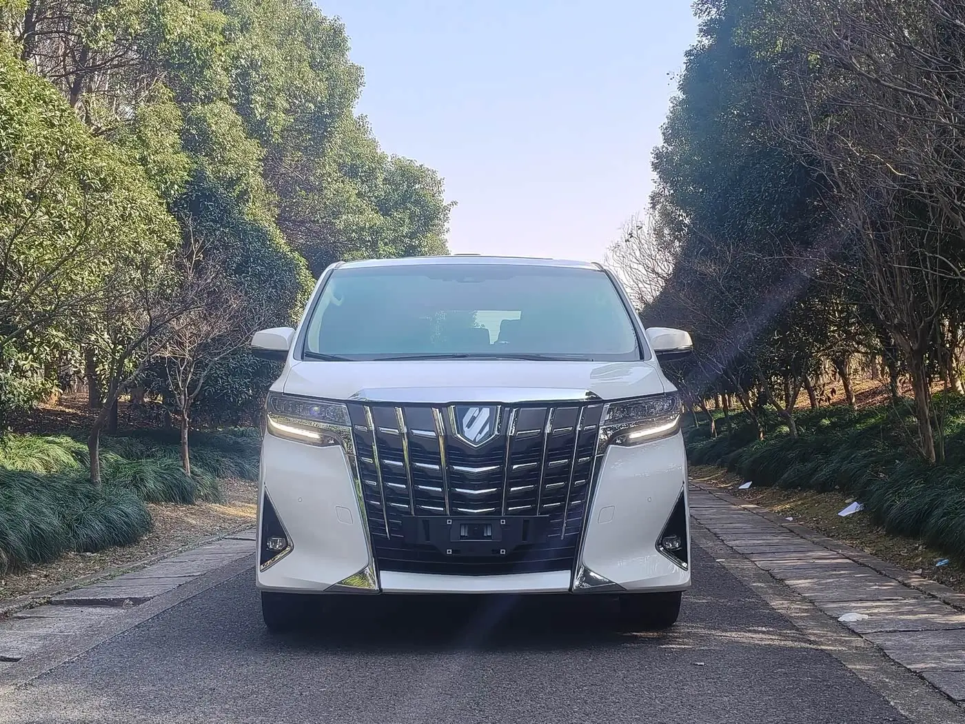 Toyota Alphard 2022 — Photo 5/20
