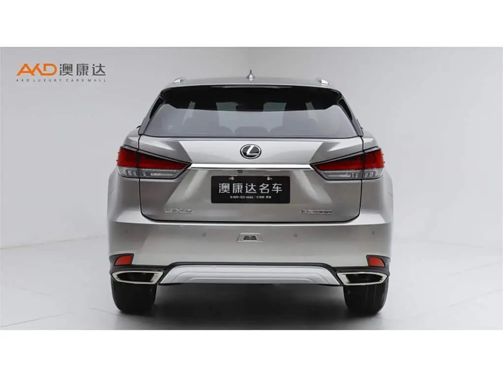 Lexus RX 2021 — Фото 4/10