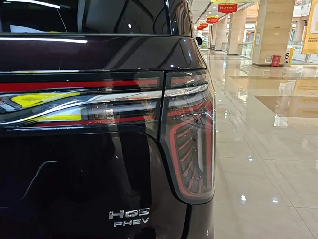 Hongqi HQ9 PHEV 2024 — Photo 8/20