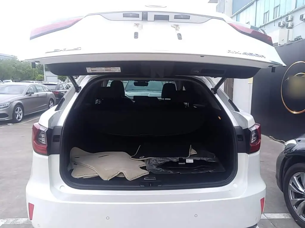 Lexus RX 2016 — Photo 15/20