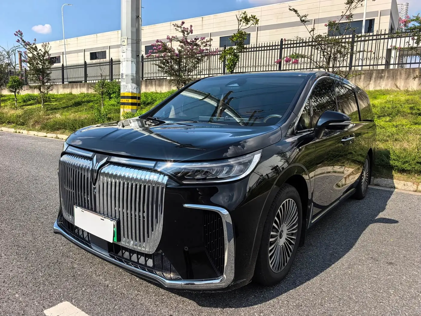 Voyah Auto Voyah Dreamer, 2025