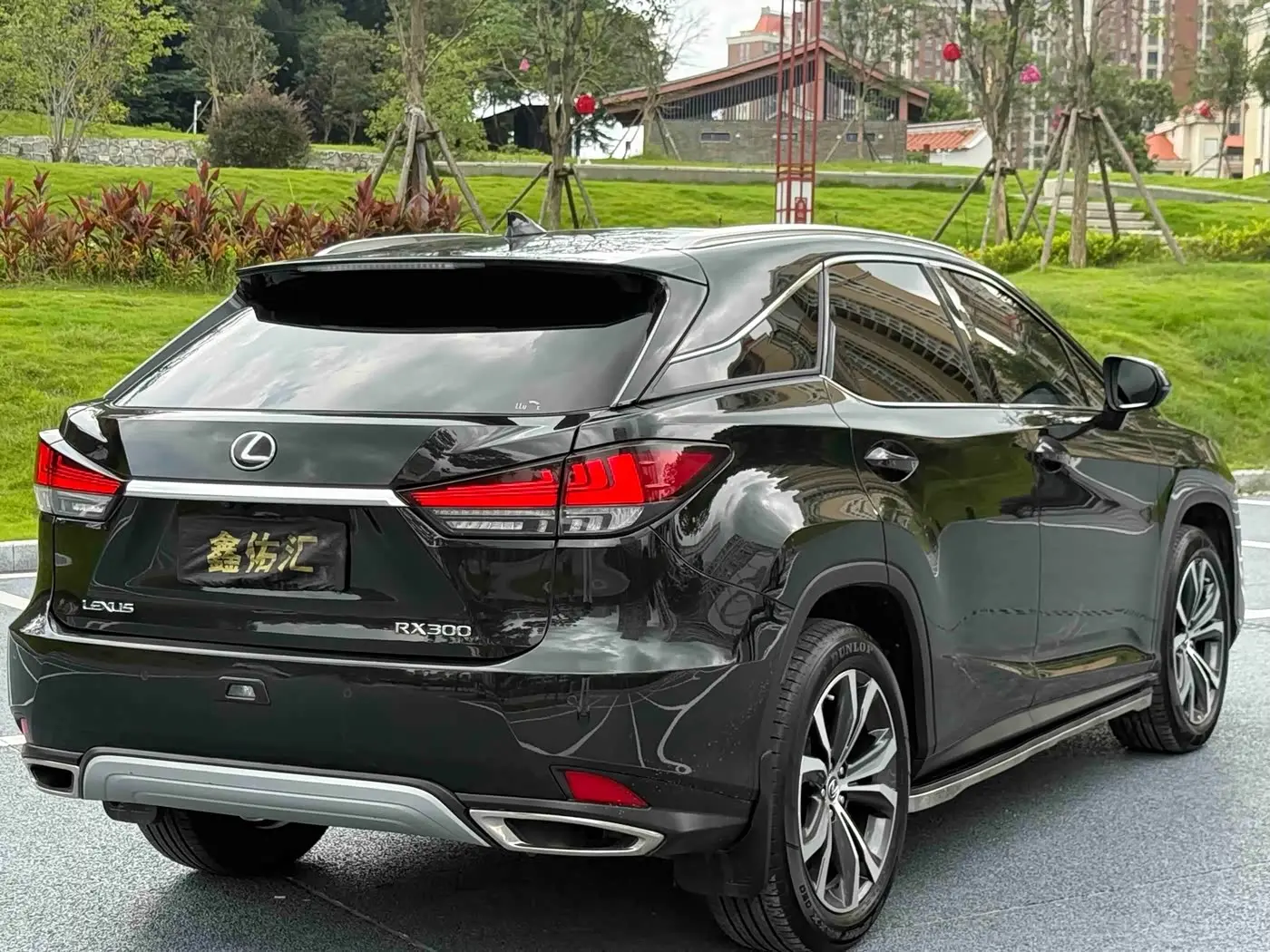 Lexus RX 2021 — Photo 9/9