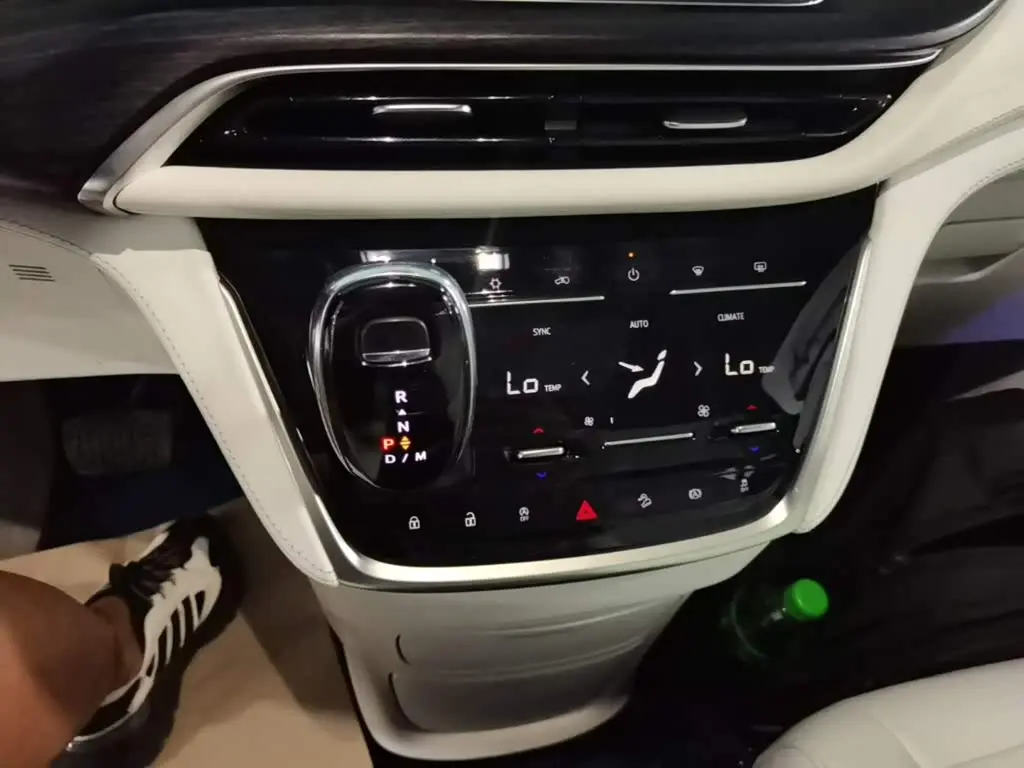 Buick GL8 2021 — Photo 14/20