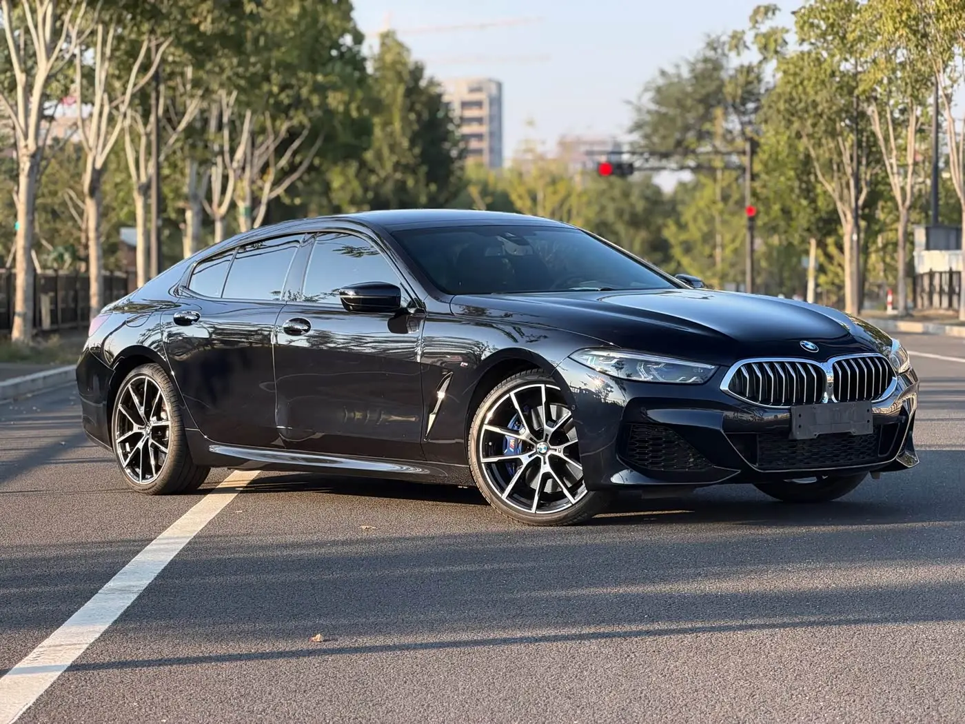 BMW 8 Series 2021 — Photo 3/20