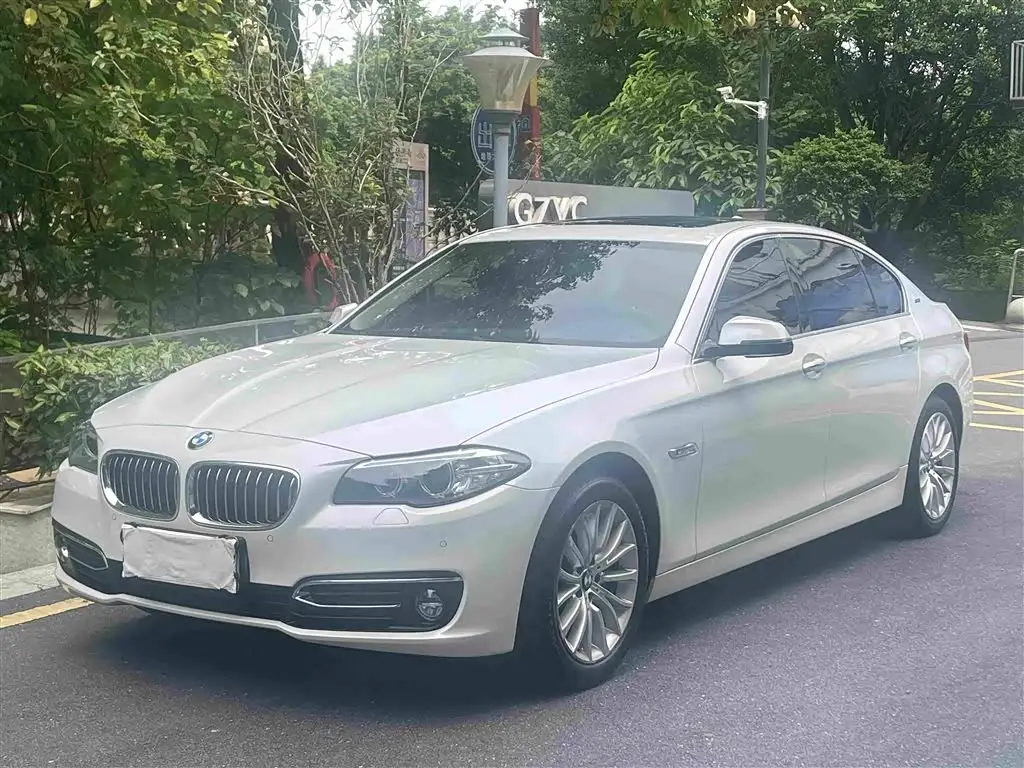 BMW 5 Series New Energy, 2016