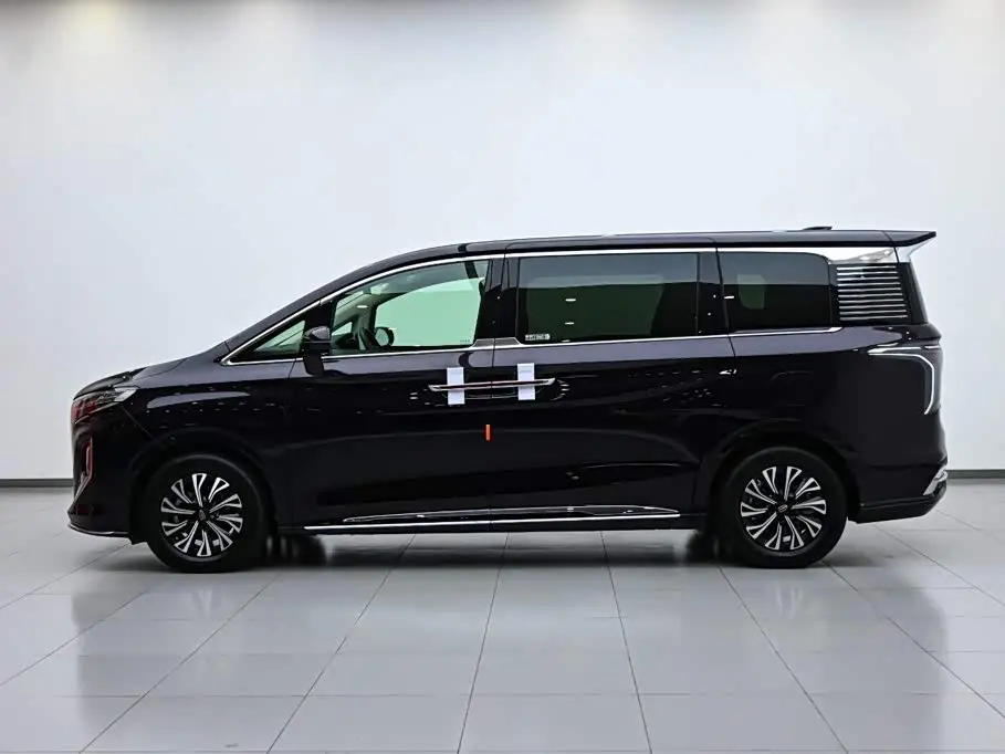Hongqi HQ9 PHEV 2024 — Şəkil 5/20