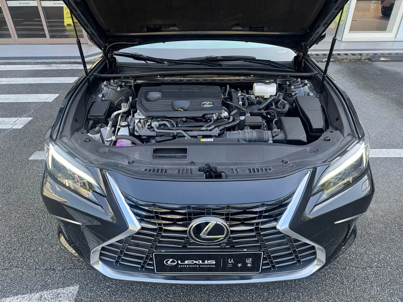 Lexus ES 2025 — Photo 6/13