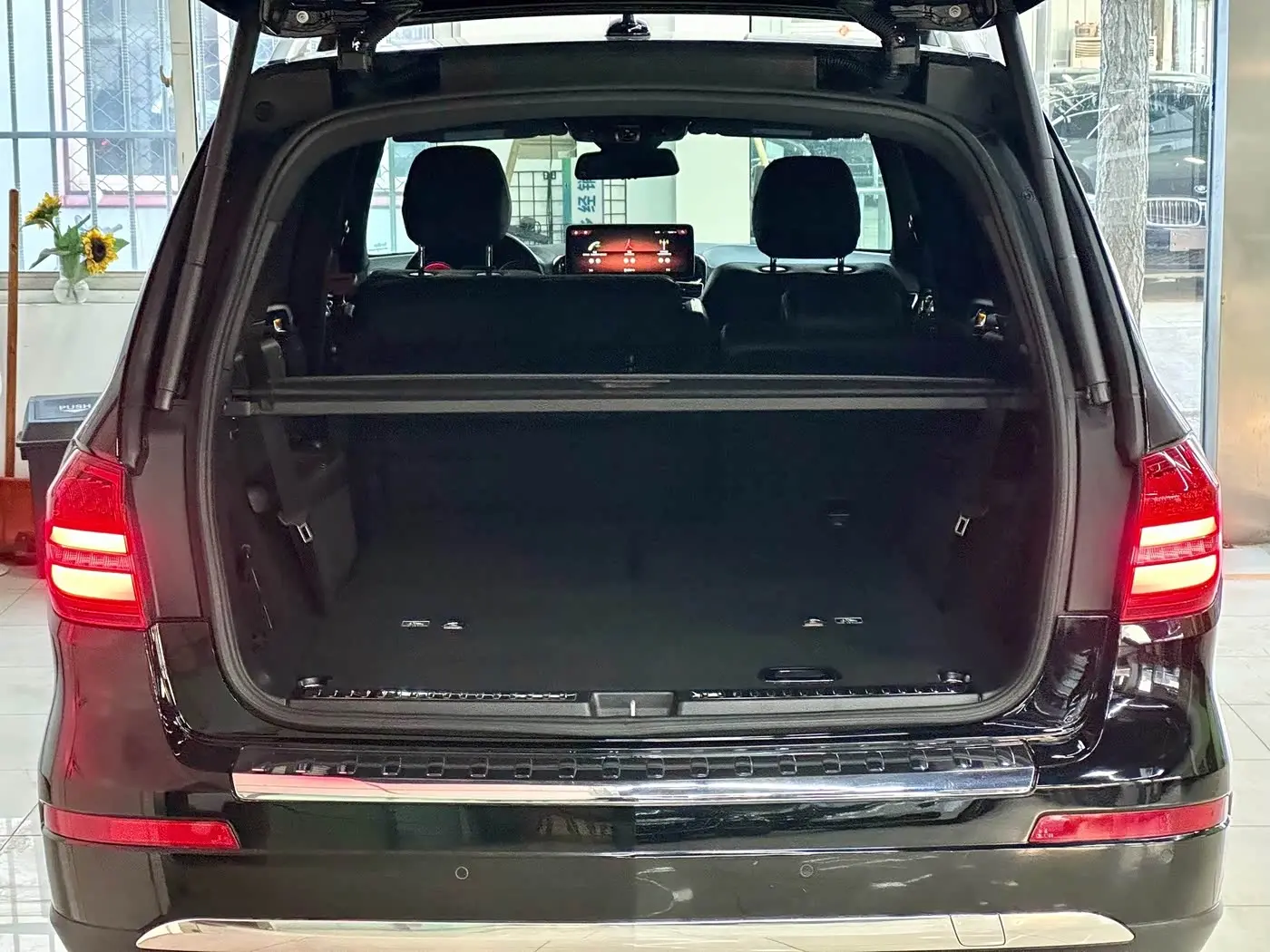 Mercedes-Benz GLS 2017 — Photo 10/20