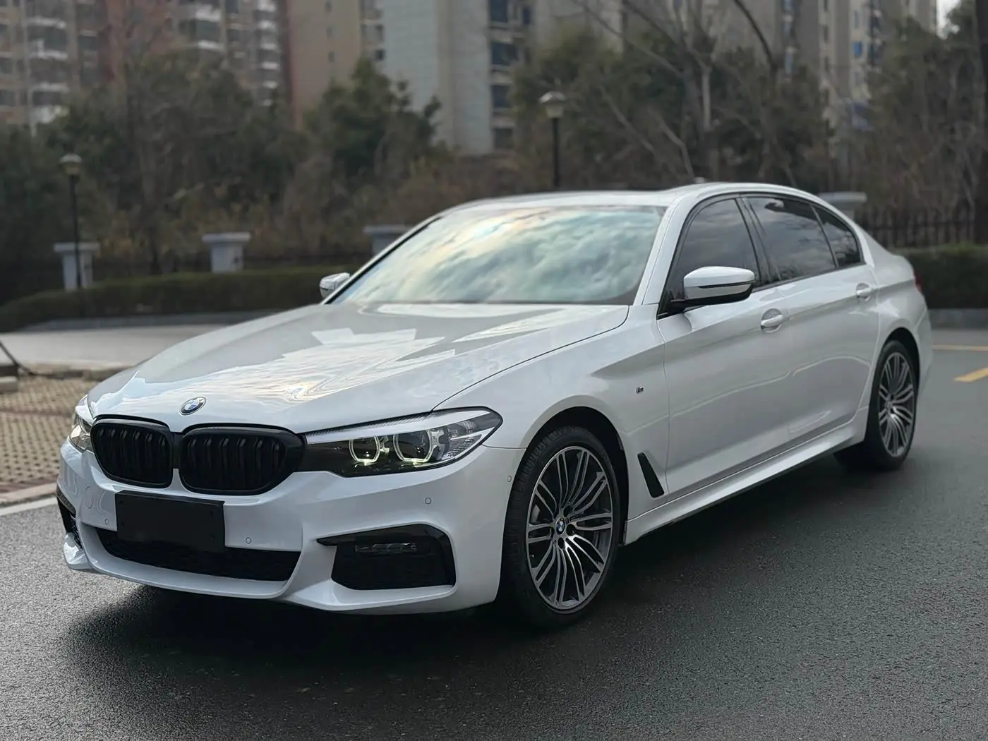 BMW 5 Series 2019 — Photo 1/13